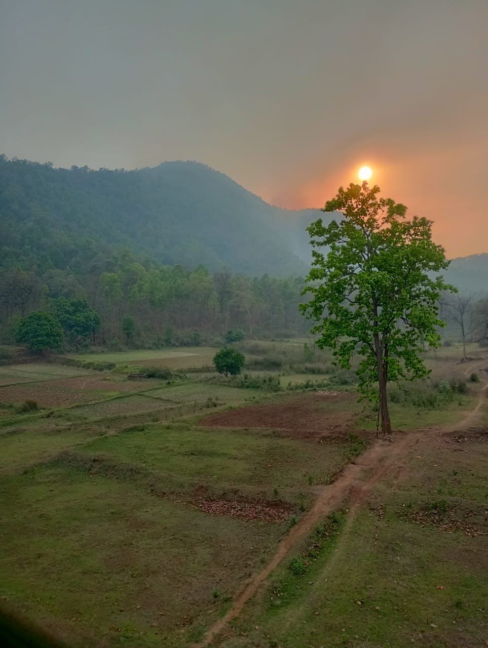 Karam Hill View Homestay Image 9
